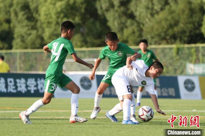 浙江足球俱乐部设立青训应援看台以缓解梯队经