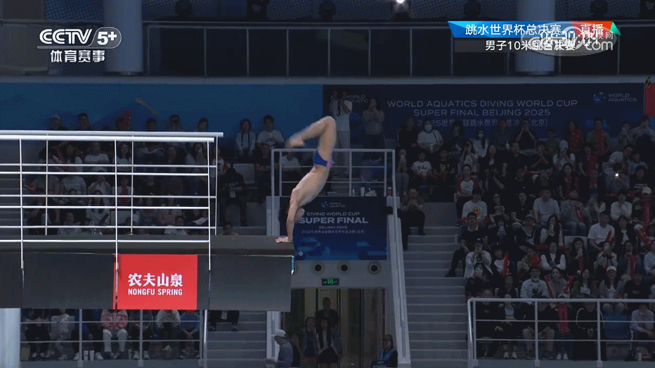 中国跳水梦之队包揽九金创历史