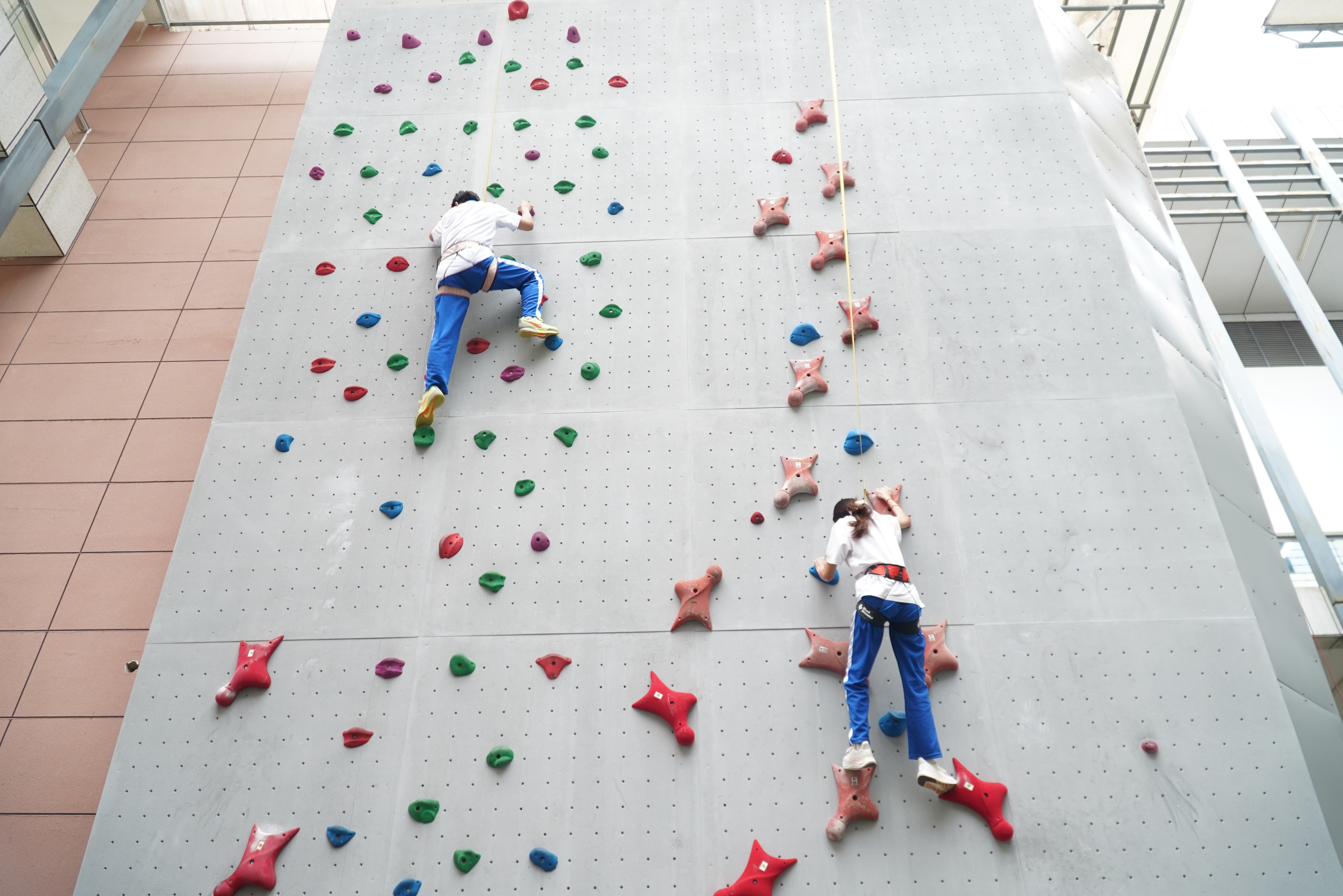 国家攀岩队走进海南校园传递体育精神